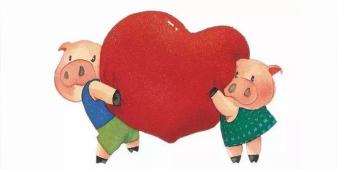 派出所院子里跑進(jìn)來一只小豬，接下來會(huì)發(fā)生一系列什么事呢......