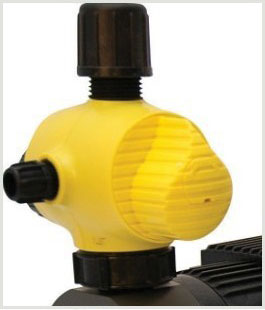 1565327967408457.jpg 1565327967408457.jpg