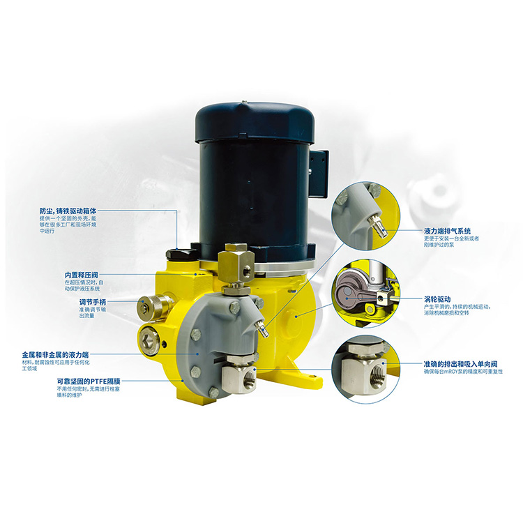 1612773504360474.jpg 3.jpg